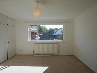 Picture 36